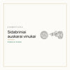 Sidabriniai auskarai vinukai — Pirkėjo gidas · Loretana