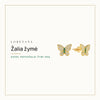 Žalia žymė — Kodėl papuošalai žymi odą · Loretana
